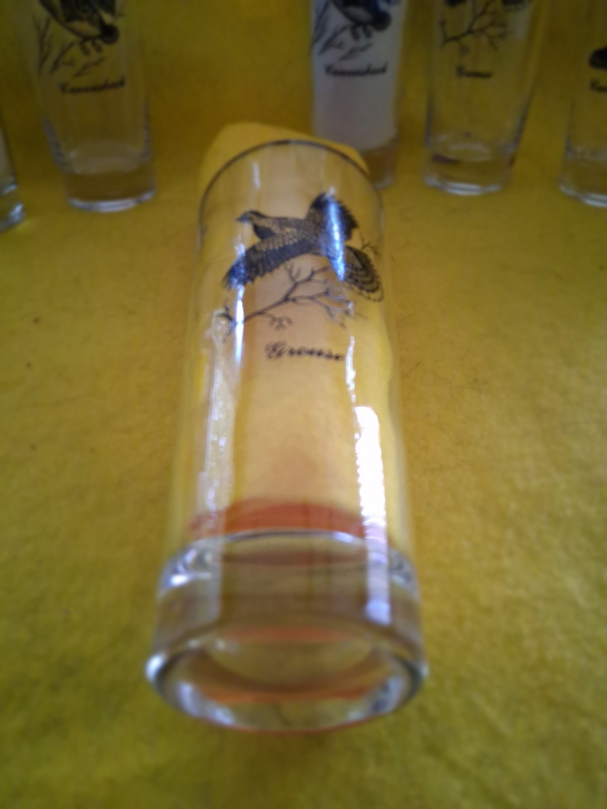 VINTAGE WATERFOWL GAME BIRDS SET OF 7 SILVER RIMMED BARWARE 7" GLASS TUMBLERS