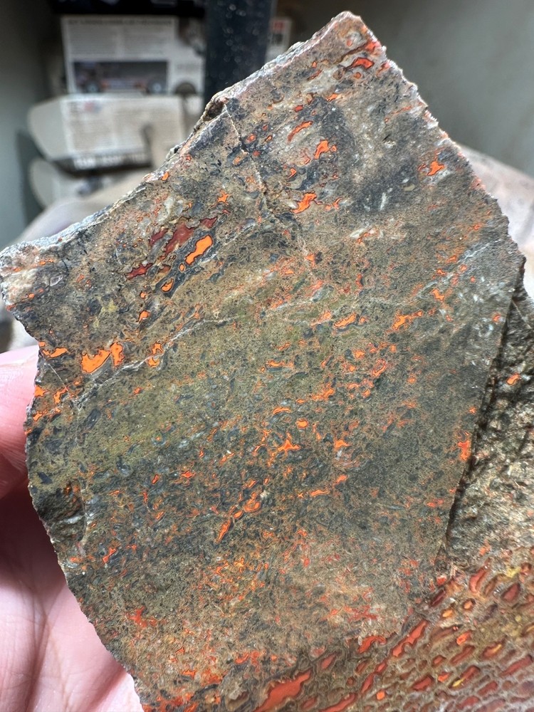Dinosaur bone rough chunk. (344.7 grams)