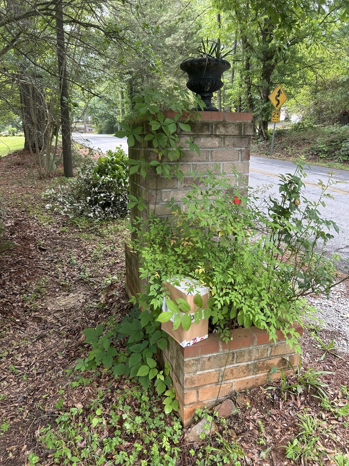 10 lbs Georgia ”FATWOOD FUEL” Kindling Firewood Lighter Ocote Chez JonesTHE BEST