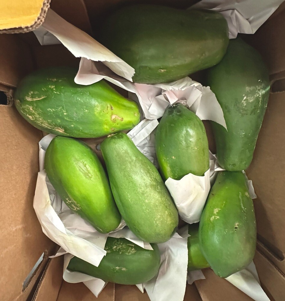 Fresh Green Papaya