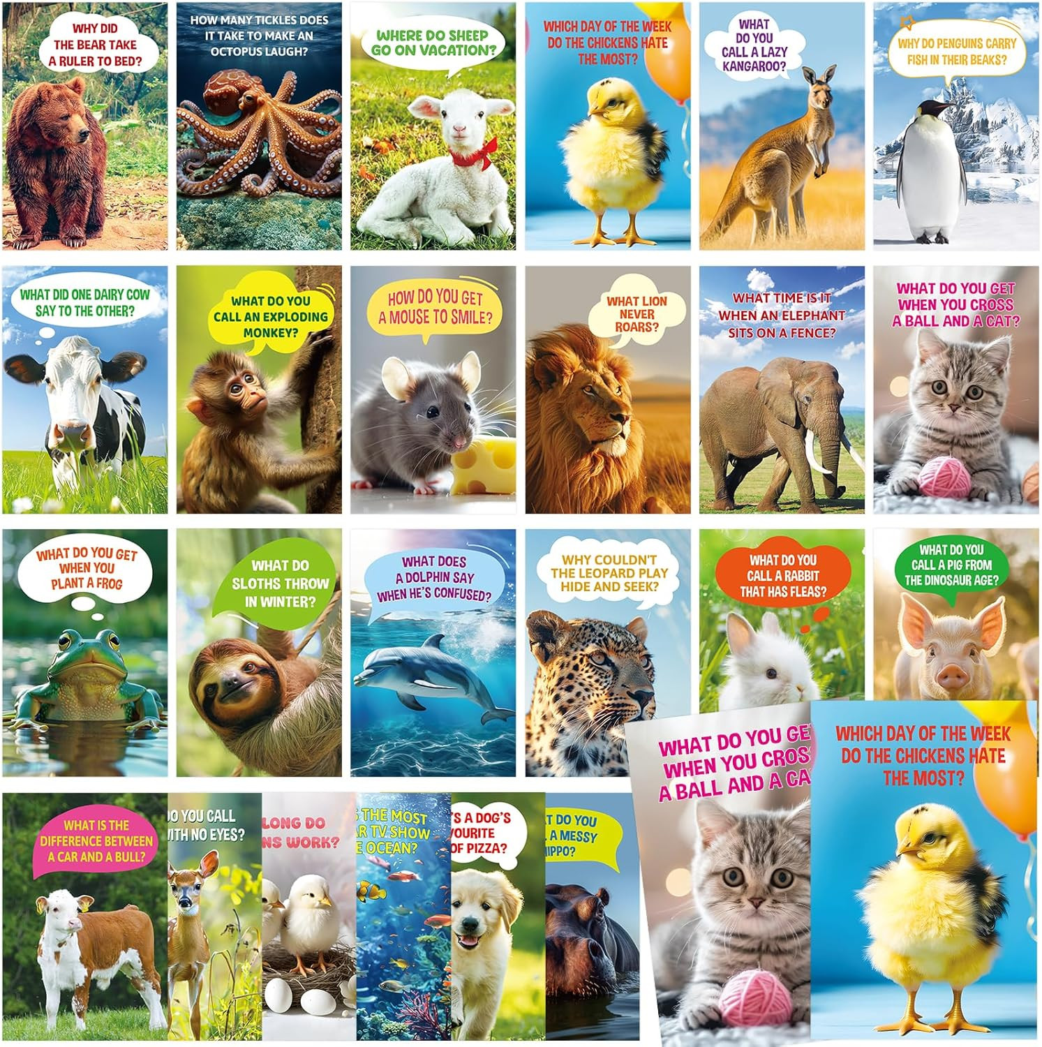 Funny Animal Joke Cards No Repeats Humorous Animal Greeting Card Thinking of You