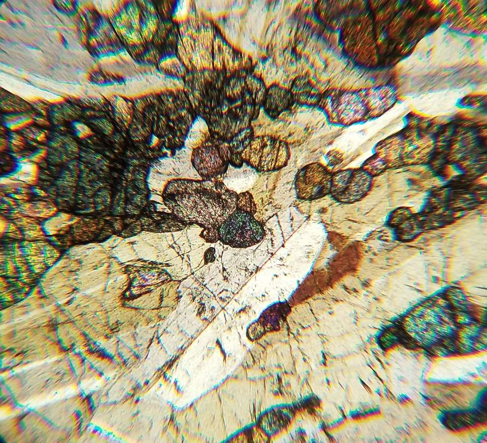 Gabbro from Duluth MN Petrographic Microscope Slide (DG-40-2)