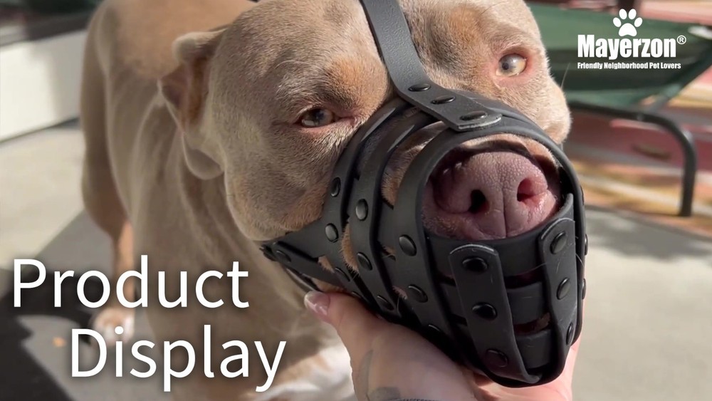 Basket Muzzle for Large Medium Dogs - Prevent Biting, Scavenging, Lightweight, A