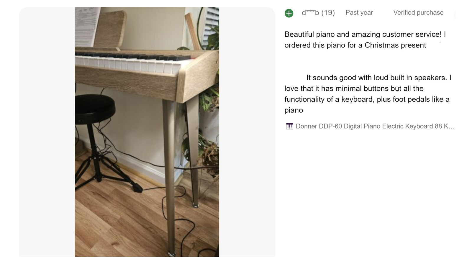 Donner DDP-60 Digital Piano Keyboard with Stand Pedal, Natural