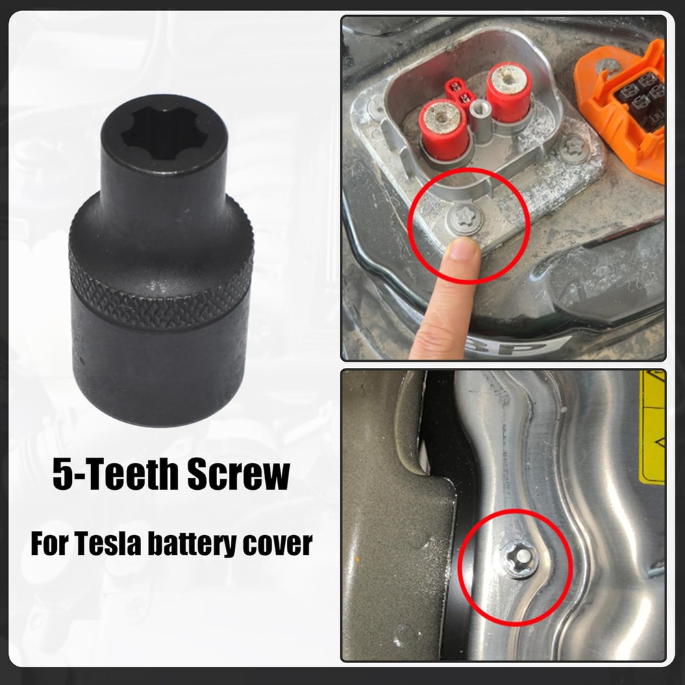 Torx plus Socket Set, External Torx plus 6 Point EP Socket EP4 - EP32 19Pcs with