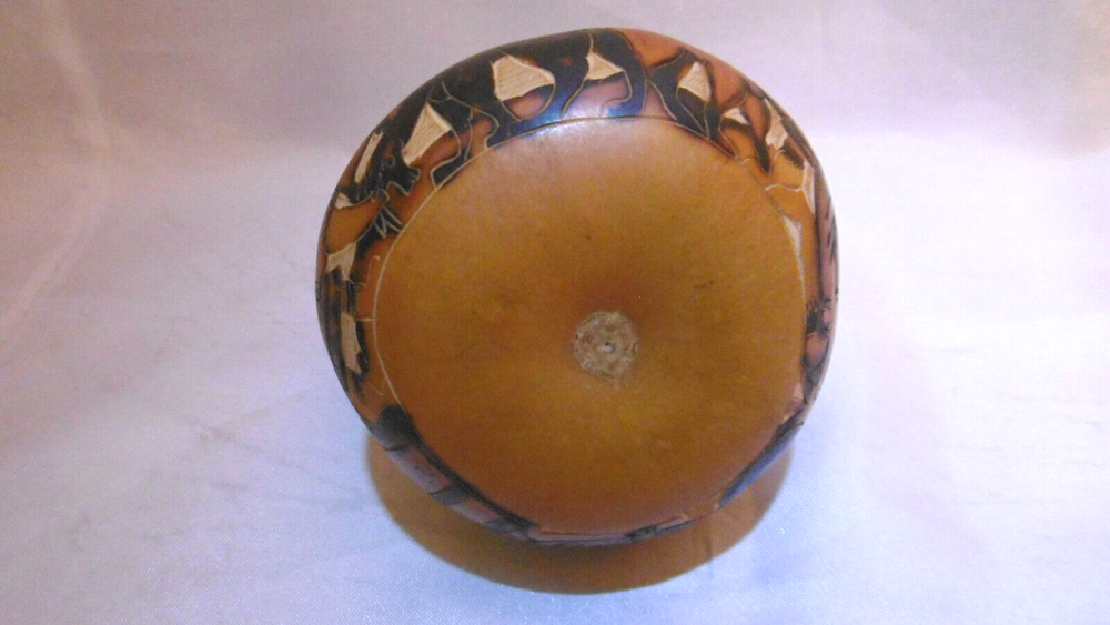 Citrullus Colocynthis Carved