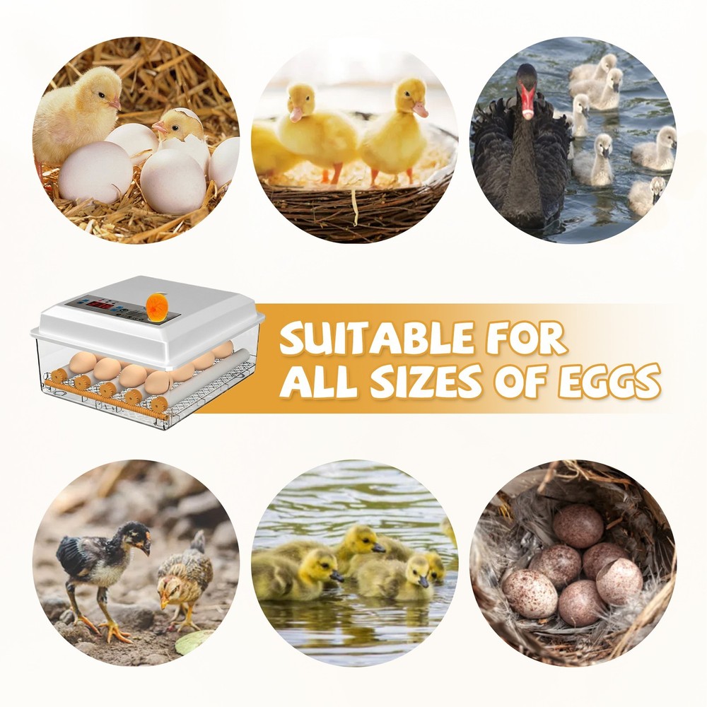 16/36 Eggs Incubators for Hatching Eggs with Automatic Egg Turning Egg Candler