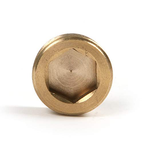 20pcs Brass Pipe Plug Set Brass External Thread Inner Hex Head Plug 1/8" 1/4"