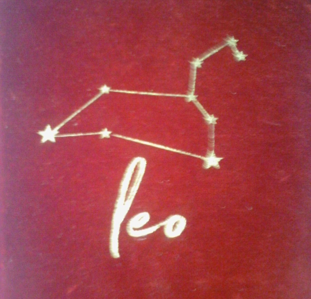 Leo Red velvet notebook / diary