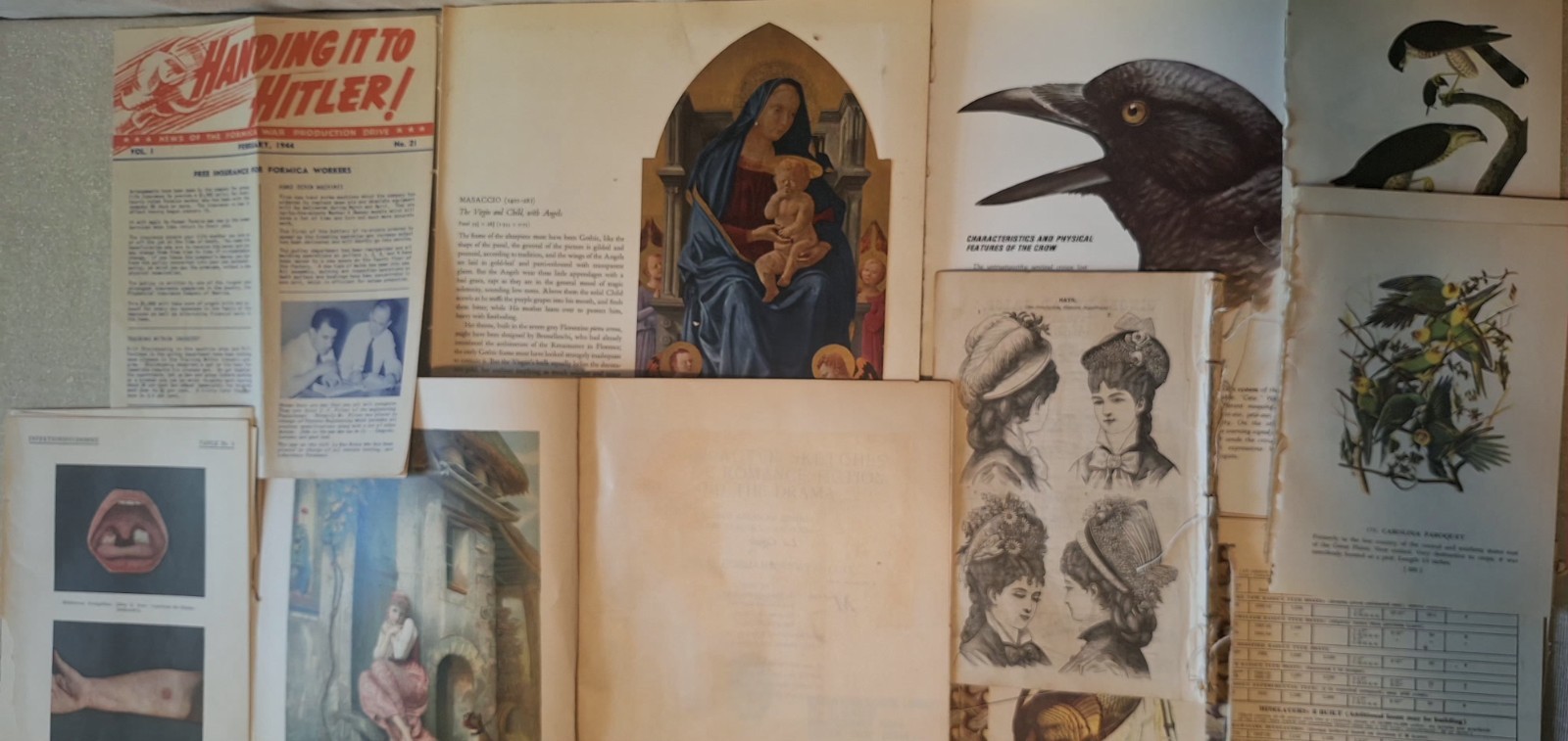 Vintage & Antique Paper Assorted Ephemera for Collage, Decoupage, Crafts 6+ Lbs