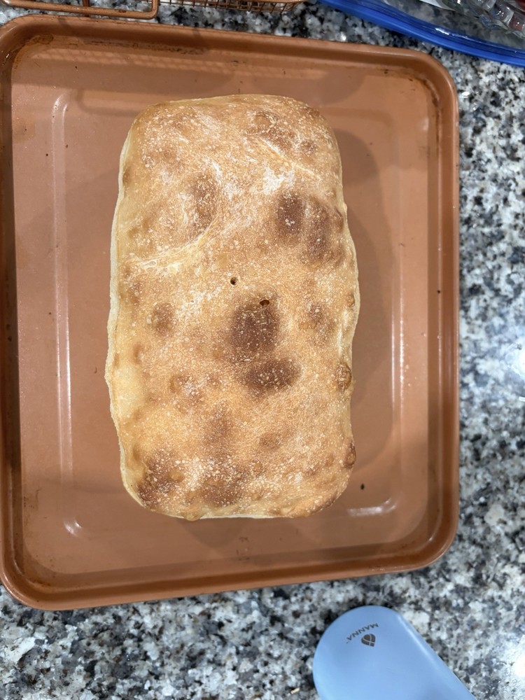Dried Sourdough Starter with Instructions
