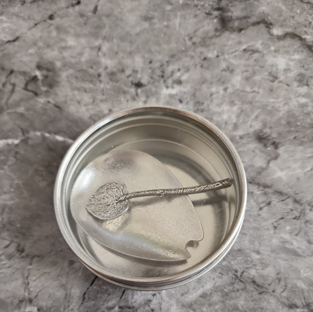 Unique Leaf Design Open Salt Cellar with Leaf Serving Spoon Silver color (EB2)