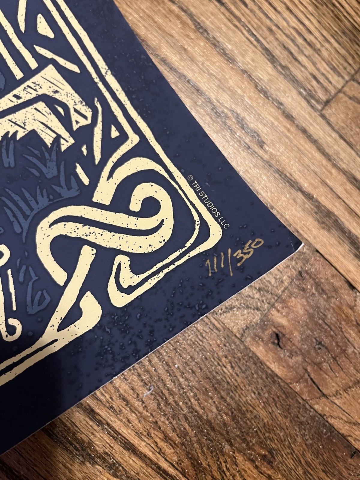 BOBBY WEIR & WOLF BROS TOUR POSTER #111