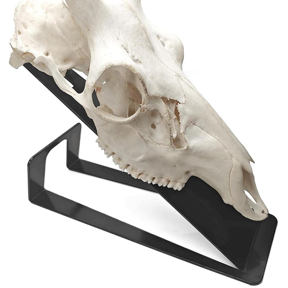 Deer Skull Mount Hanger Iron Bracket Table Top Stand