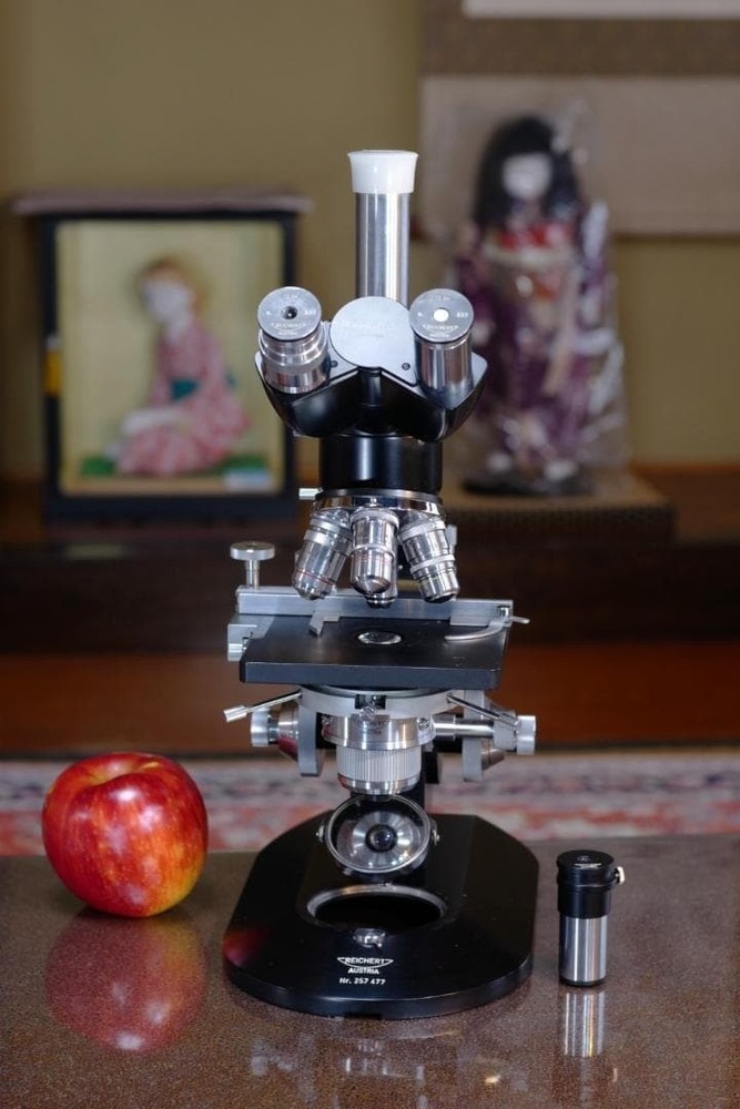 Antique Microscope Reichert BIOZET Phase Contrast Microscope Working