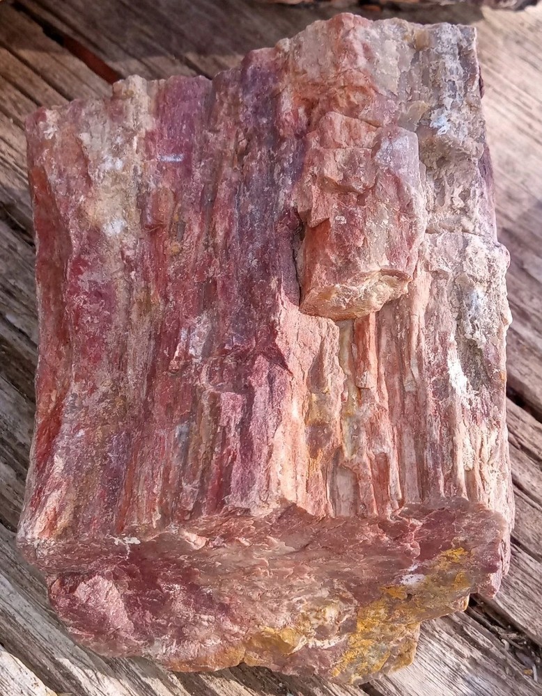 Rainbow Petrified Wood Rough AZ 2 lbs