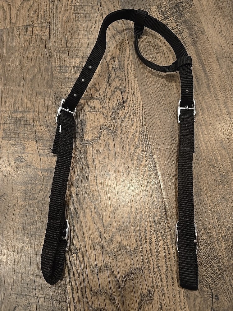 horse headstall