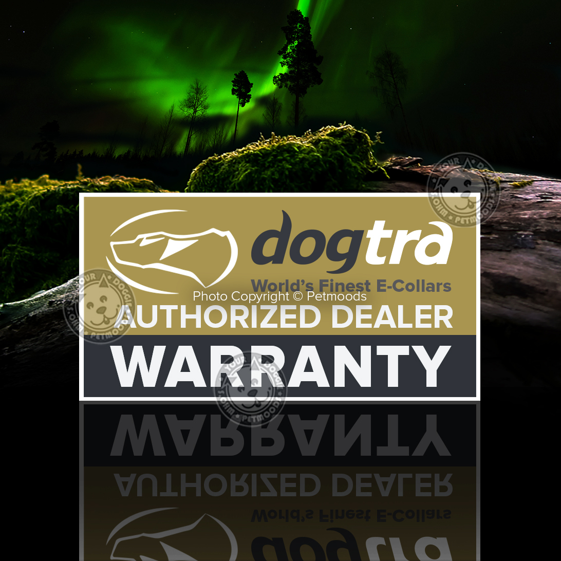 DOGTRA YS600 No Bark Stubborn Dog Collar Barking Control