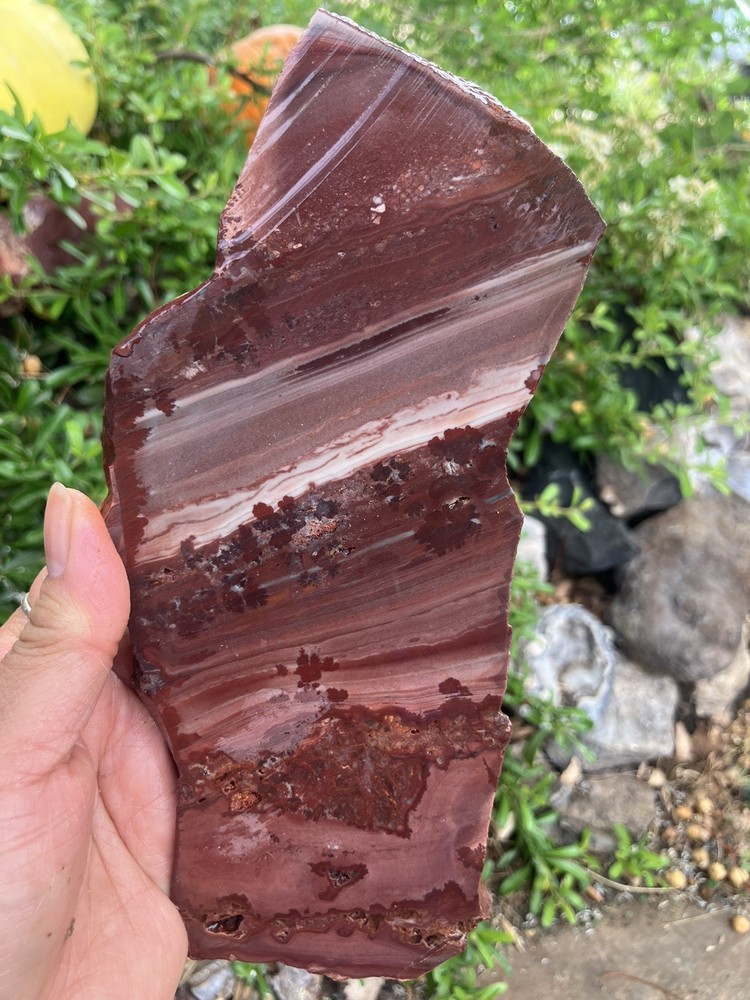 Apache Rhyolite Slab