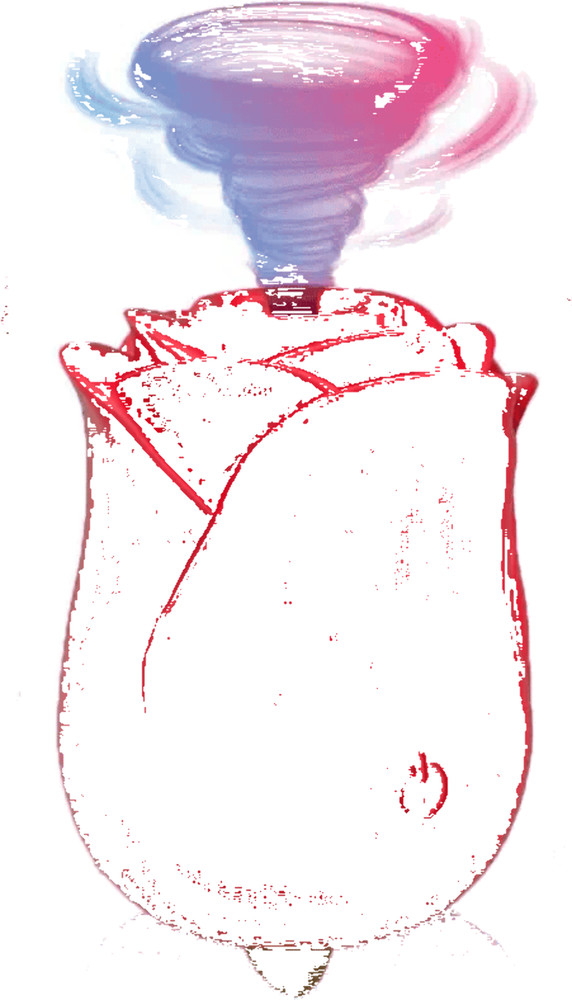 Licking and Sucking Rose