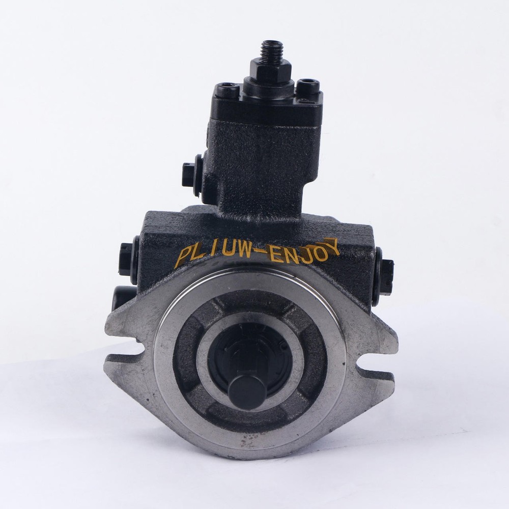 1PCS NEW CML hydraulic variable vane pump VCM-SF-20C-10