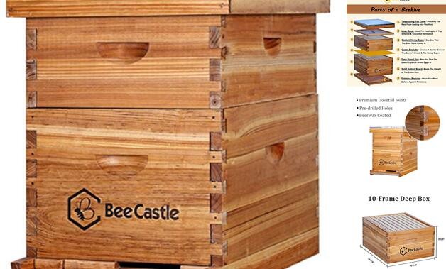10-Frames Complete Beehive Kit, 100% Beeswax Coated Bee Hive Includes Beehive