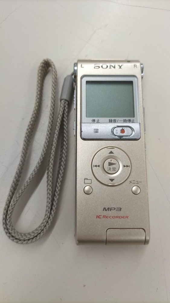 Sony ICD-UX300F Digital Voice Recorder MP3 Player Built-In Memory New