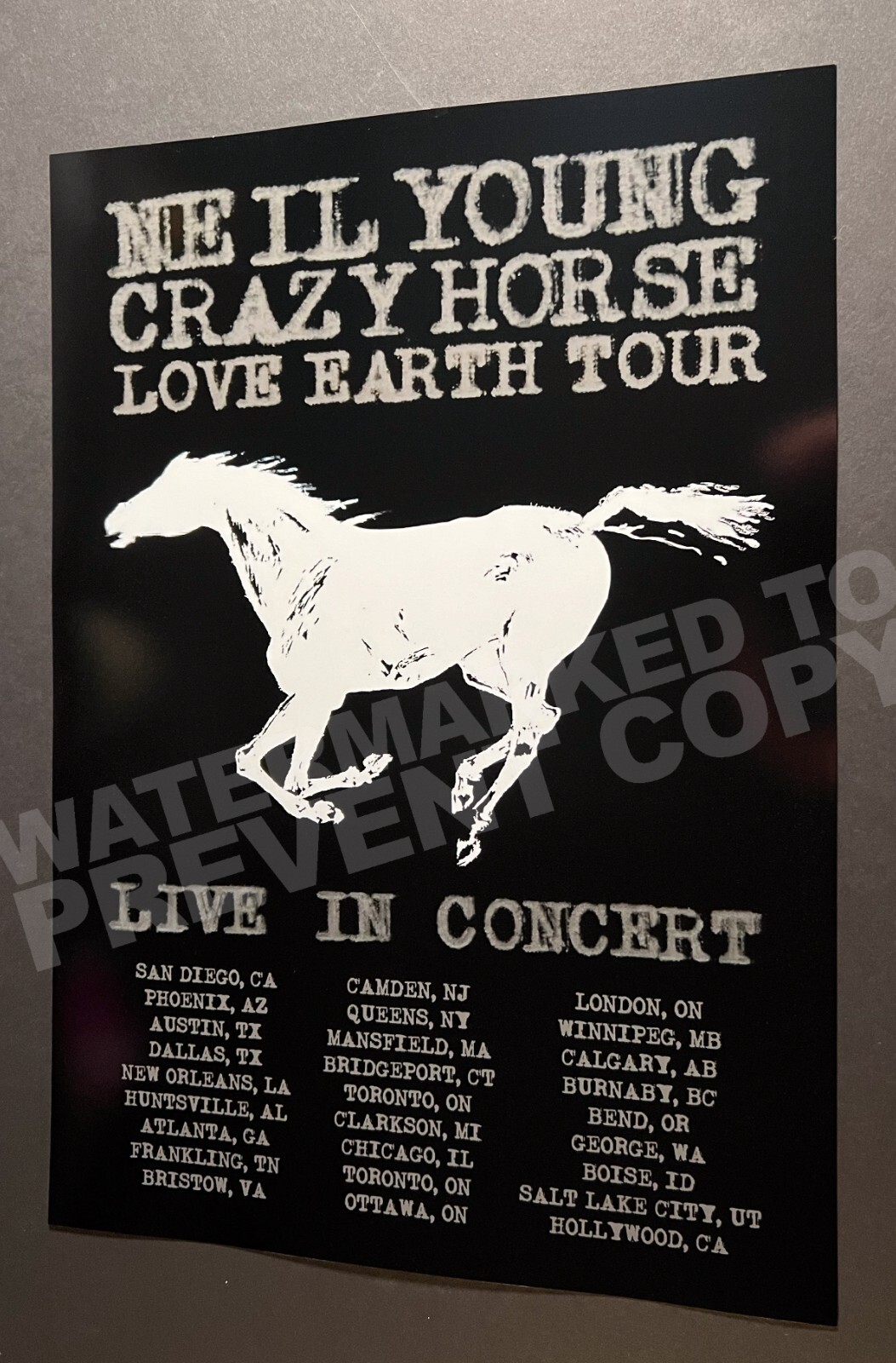 Neil Young 2024 Crazy Horse Love Earth Tour Promo Poster