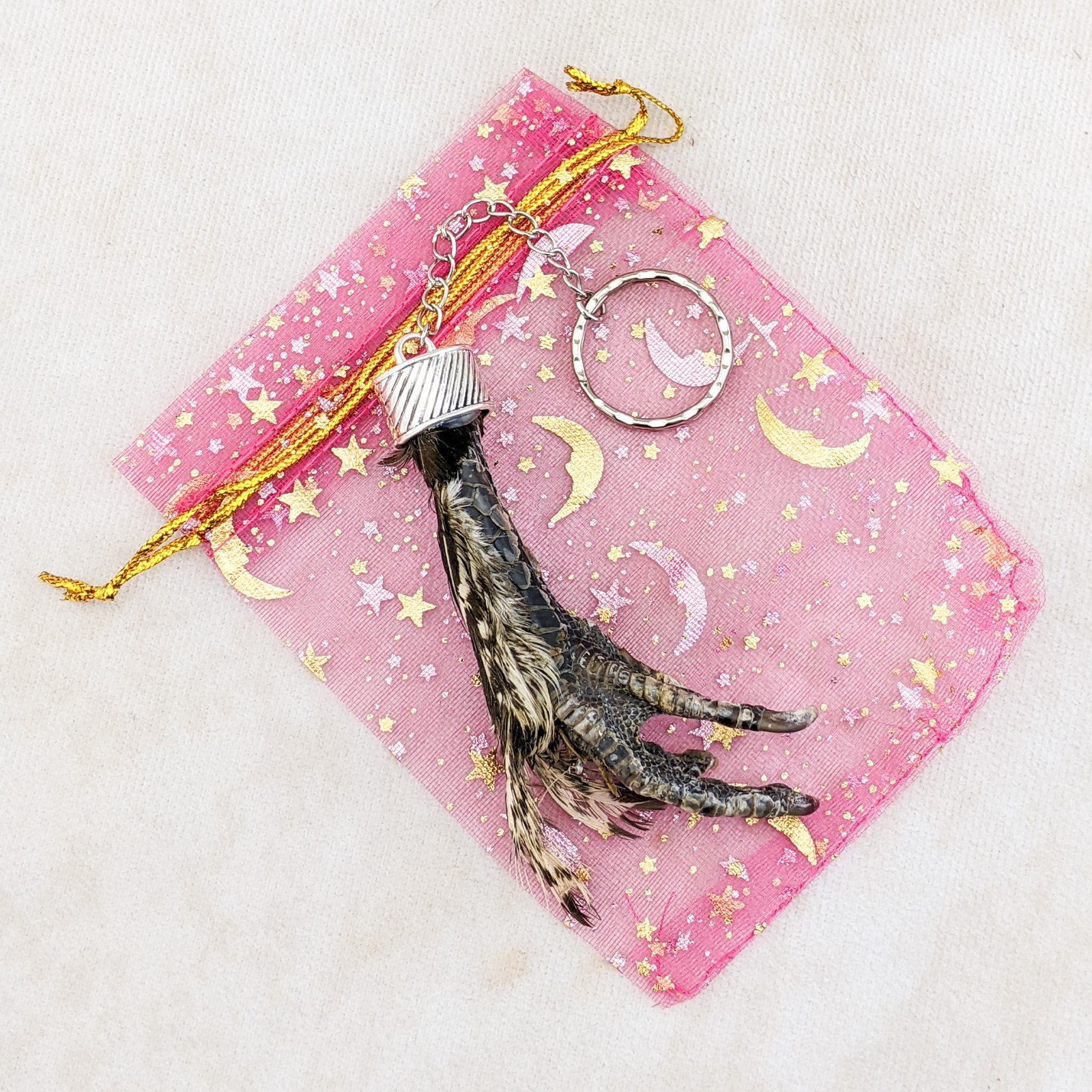 Real Chicken Foot Key Chain talisman voodoo pirate Taxidermy gift costume prop