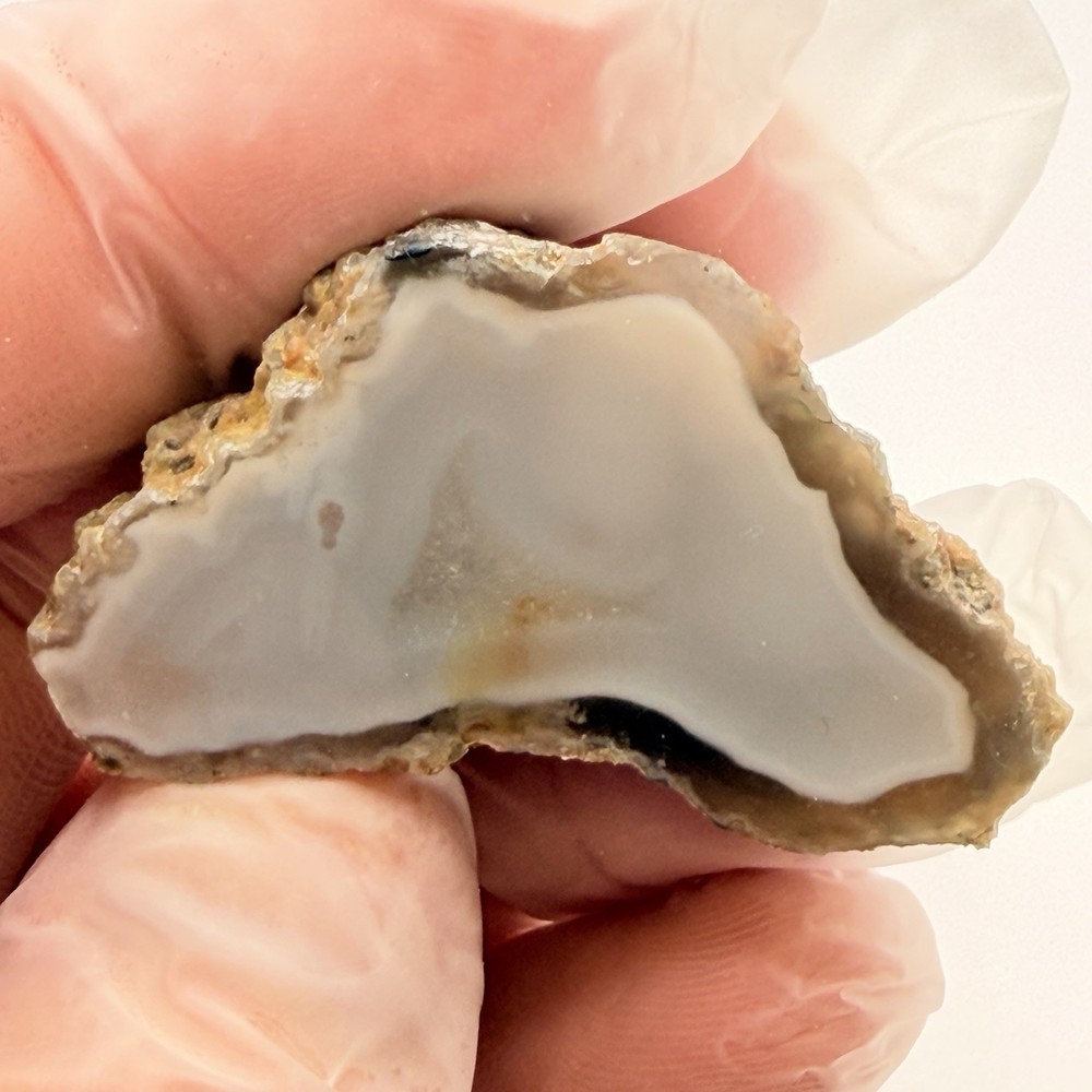 3pc Moroccan Agate Bundle 3.15oz Polished Fortification Moss Agate Slab Specimen
