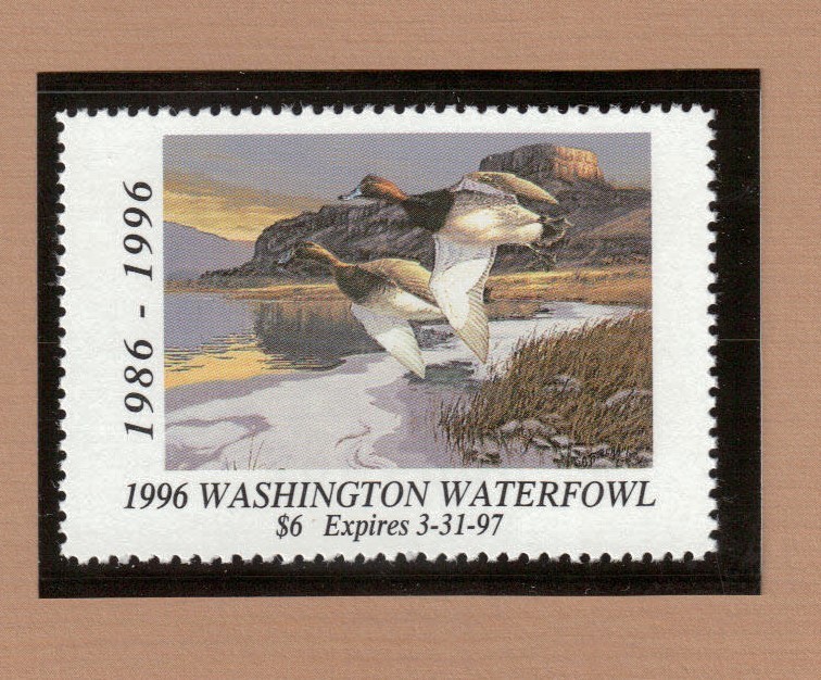 WA11 - Washington State Duck Stamp. MNH. OG.