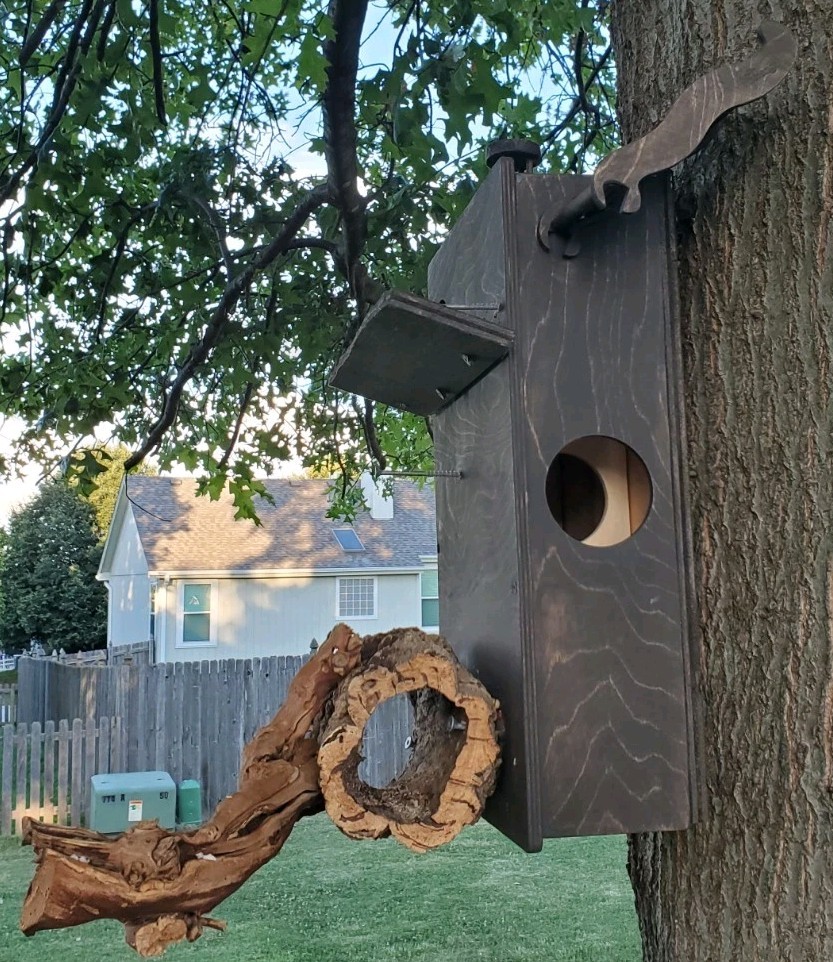 Custome Made Bird Houses