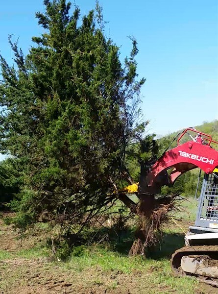 Danuser Intimidator Tree Puller