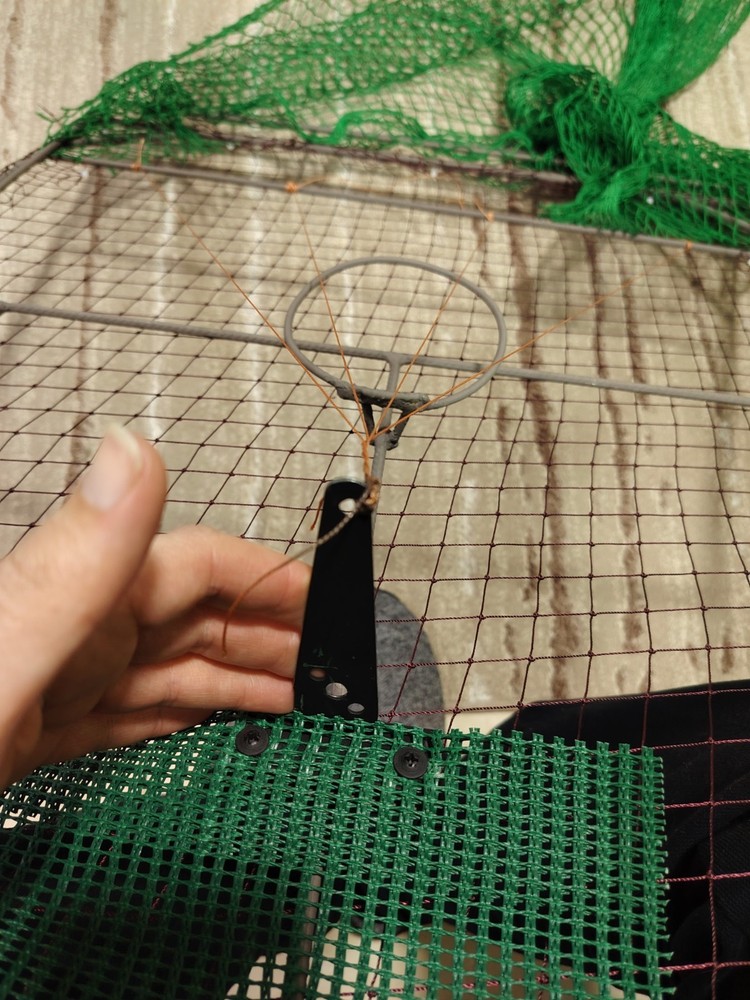 Humane Birdwatching Tool - Large Steel Cage Net for Nature Study & Safe Catch