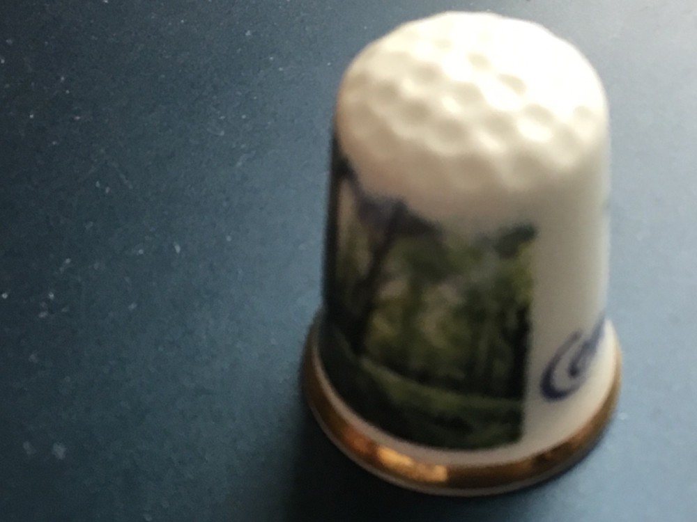 Centre Parcs Forest scene - thimble - A1