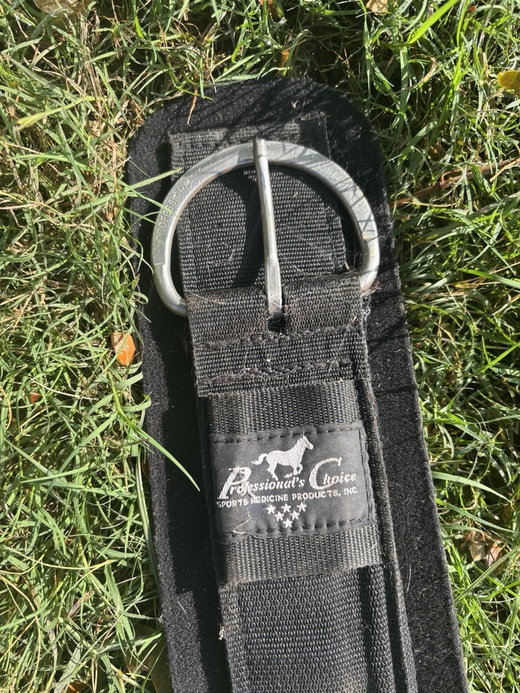 Professional Choice Western Cinch 36”