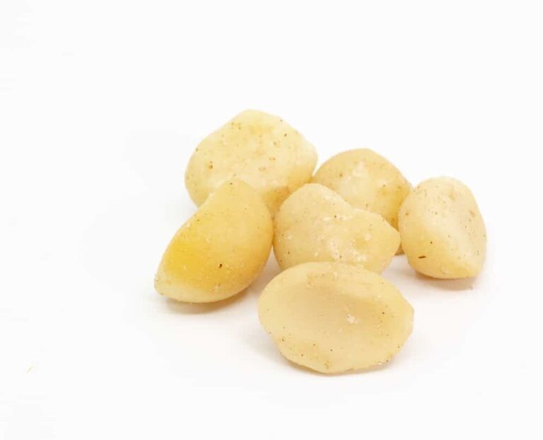 Bulk Raw Macadamia Nuts, Unsalted 10 Pound Wholesale Box