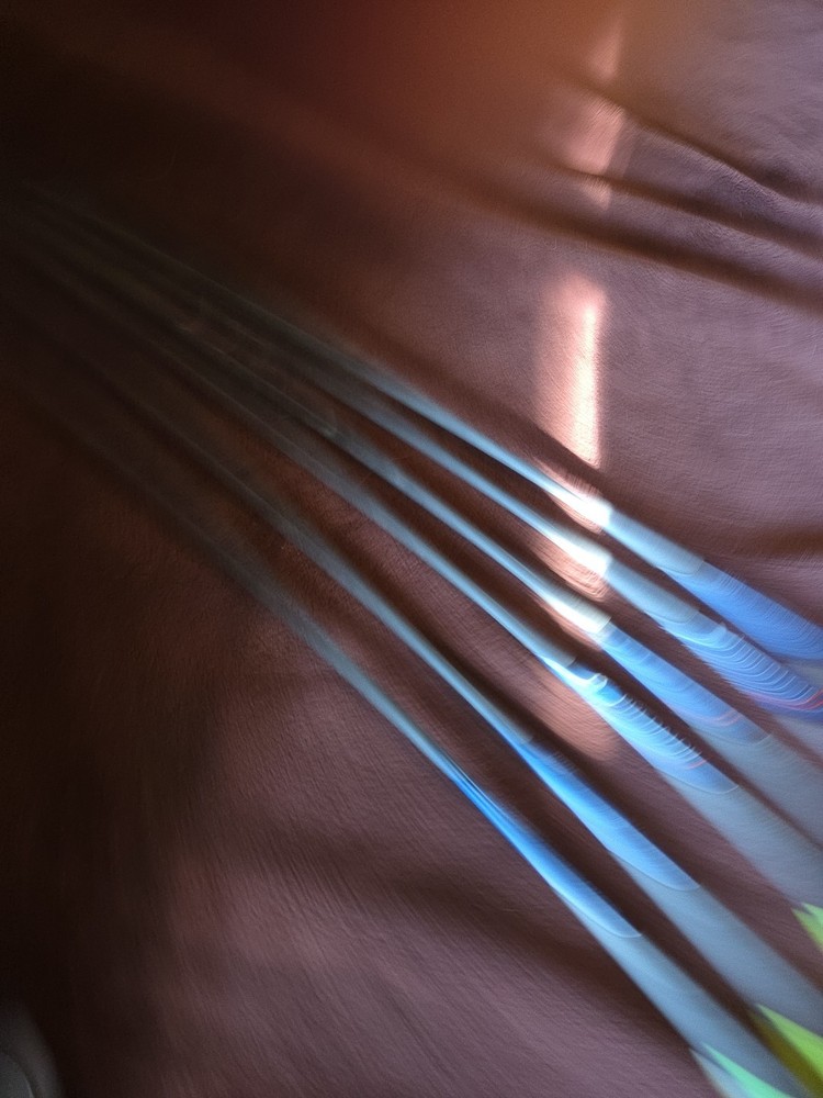 Predator 2  Arrows  6 Of Them