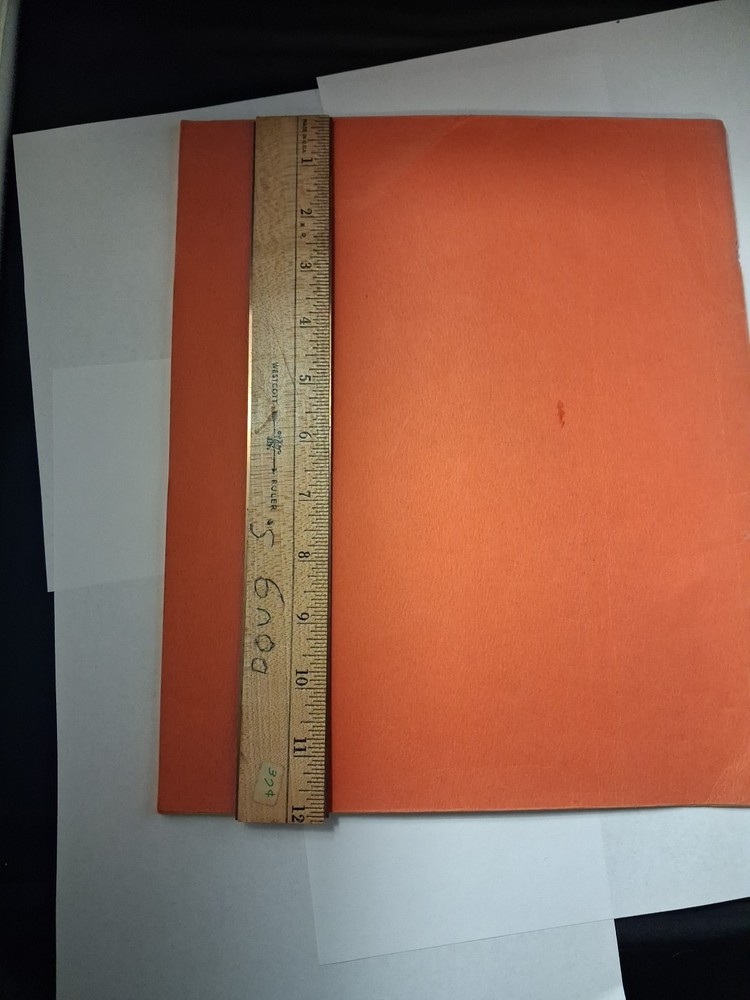 White Ace Standard Mint Sheet File 16 Sheets - 2 With Stamp Sheets Rest Empty