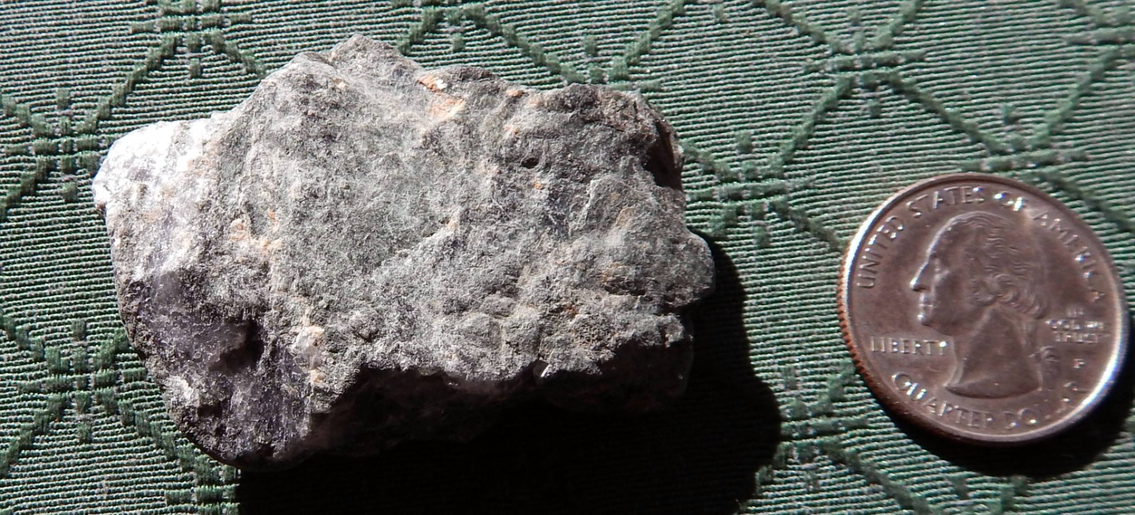 GOLD ORE SPECIMAN COLLECTED FROM THE HOMESTAKE MINE LEAD SD VISIBLE GOLD SPOTS