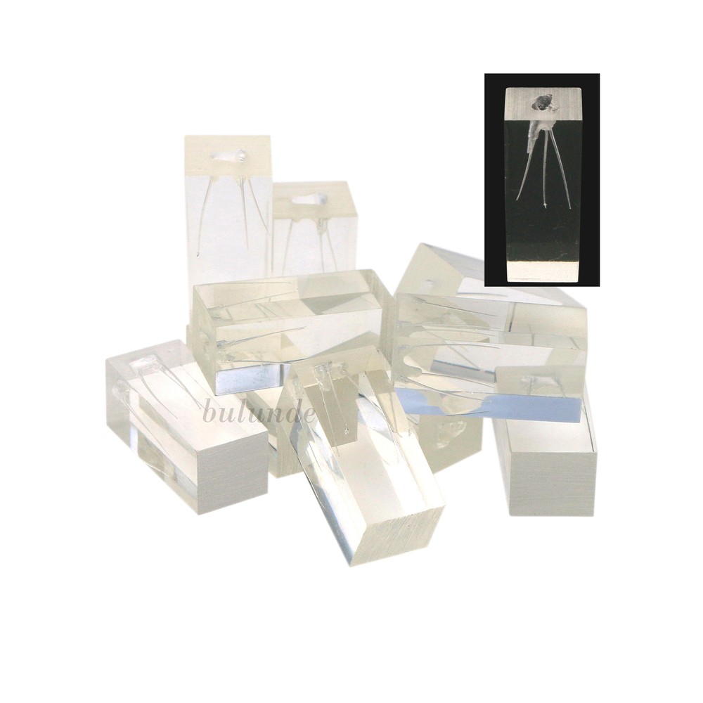 10Pcs Dental Endodontic Study Practice Operation Tooth Model Clear Root Canals