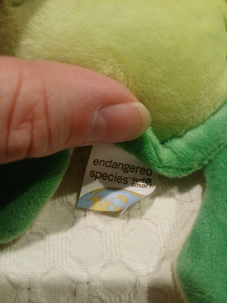 Endangered Species Turtle