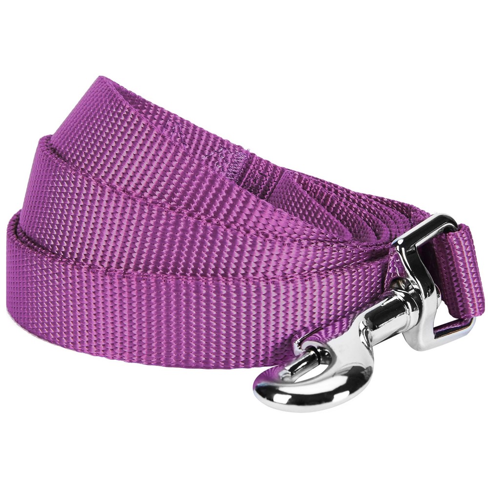 Blueberry Pet Durable Classic Dog Leash, Violet, 5ft x 5/8", Small