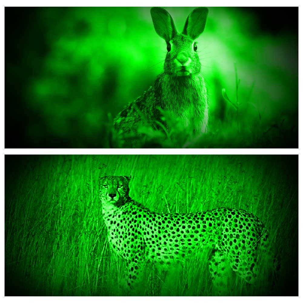 Sensor LED Headlamp Worklight Torch Green Light USB Charging Zoomable Head Lamp