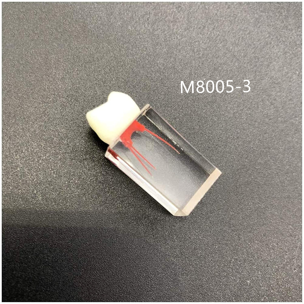Dental Resin Training Study Endo Root Canal Teeth Model Practice Block RCT Pulp