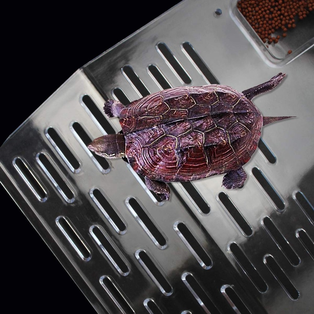 Turtle Basking Platform, Turtle Tank Platform, Aquarium Animal Transparent Si...