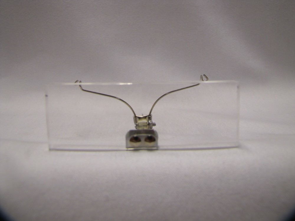 Vintage Magnifier Glasses in Case