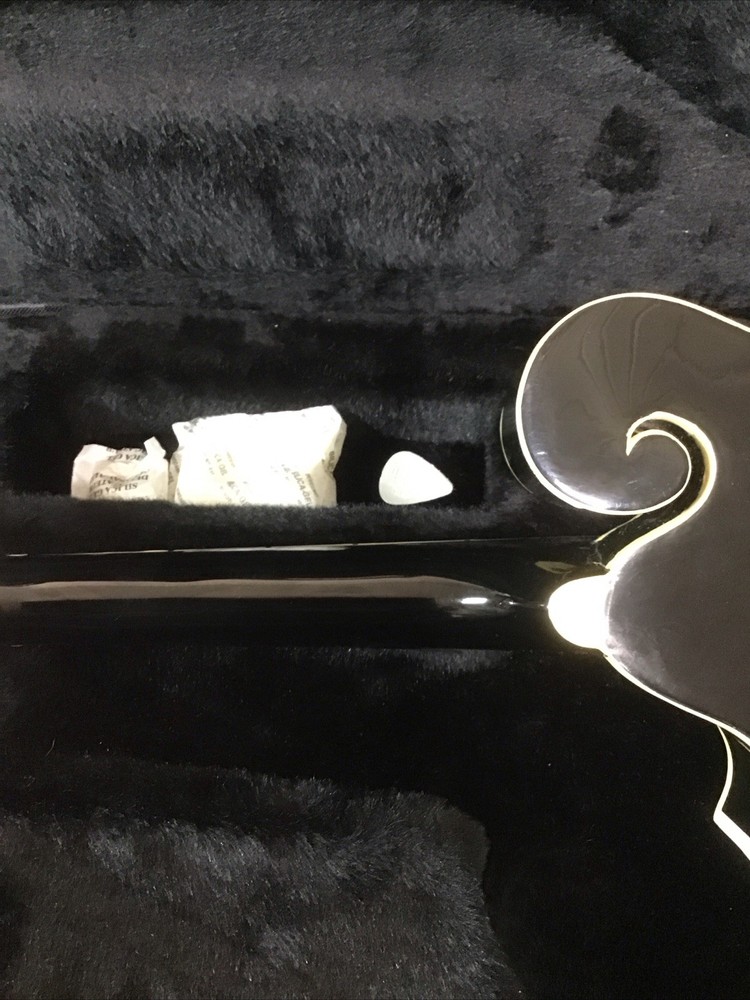 Johnson Model MF-100-B Mandolin with Hardshell Gig Bag