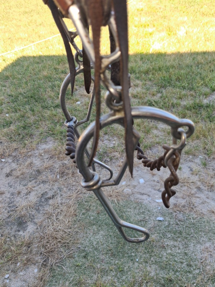 headstall with combination bit