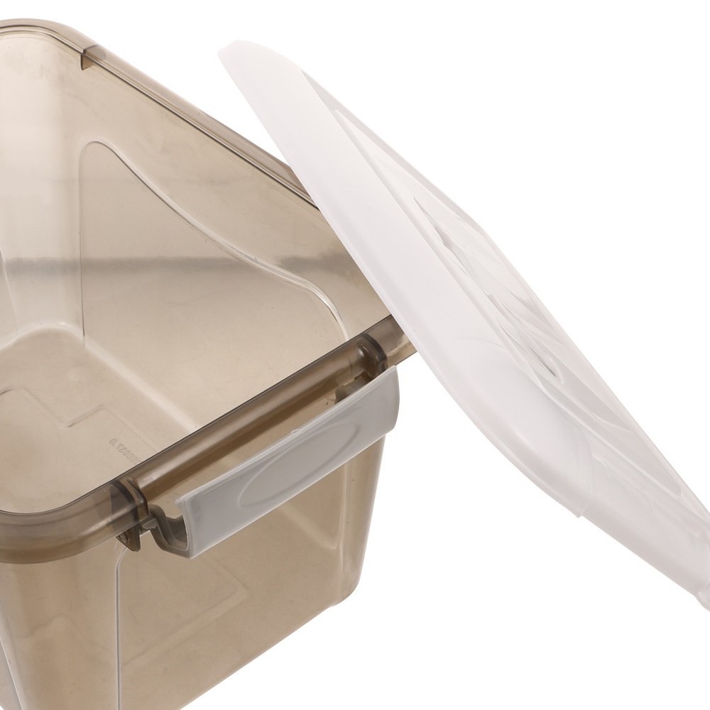 Storage Containers with Lids Handle Compartment Box Small Trunk Organizer